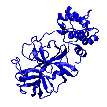 Structure preview of Folding@home molecular dynamics simulations of Diamond Light Source / XChem X-ray structures of small molecule inhibitors of the SARS-CoV-2 main protease from the COVID Moonshot; project 13433, run 313