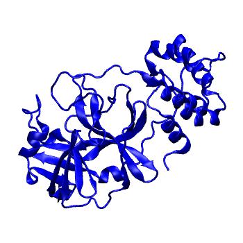 Structure preview of Folding@home molecular dynamics simulations of Diamond Light Source / XChem X-ray structures of small molecule inhibitors of the SARS-CoV-2 main protease from the COVID Moonshot; project 13433, run 314