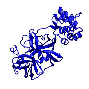 Structure preview of Folding@home molecular dynamics simulations of Diamond Light Source / XChem X-ray structures of small molecule inhibitors of the SARS-CoV-2 main protease from the COVID Moonshot; project 13433, run 316