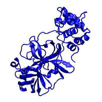 Structure preview of Folding@home molecular dynamics simulations of Diamond Light Source / XChem X-ray structures of small molecule inhibitors of the SARS-CoV-2 main protease from the COVID Moonshot; project 13433, run 317