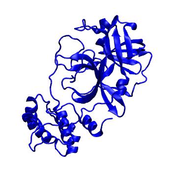 Structure preview of Folding@home molecular dynamics simulations of Diamond Light Source / XChem X-ray structures of small molecule inhibitors of the SARS-CoV-2 main protease from the COVID Moonshot; project 13433, run 318