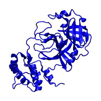 Structure preview of Folding@home molecular dynamics simulations of Diamond Light Source / XChem X-ray structures of small molecule inhibitors of the SARS-CoV-2 main protease from the COVID Moonshot; project 13433, run 319