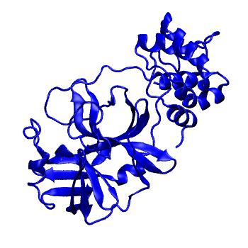 Structure preview of Folding@home molecular dynamics simulations of Diamond Light Source / XChem X-ray structures of small molecule inhibitors of the SARS-CoV-2 main protease from the COVID Moonshot; project 13433, run 31