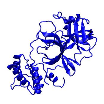 Structure preview of Folding@home molecular dynamics simulations of Diamond Light Source / XChem X-ray structures of small molecule inhibitors of the SARS-CoV-2 main protease from the COVID Moonshot; project 13433, run 322