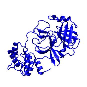 Structure preview of Folding@home molecular dynamics simulations of Diamond Light Source / XChem X-ray structures of small molecule inhibitors of the SARS-CoV-2 main protease from the COVID Moonshot; project 13433, run 323