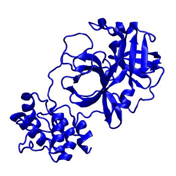 Structure preview of Folding@home molecular dynamics simulations of Diamond Light Source / XChem X-ray structures of small molecule inhibitors of the SARS-CoV-2 main protease from the COVID Moonshot; project 13433, run 325