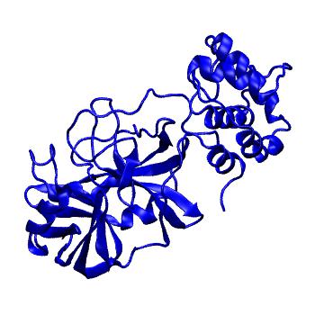 Structure preview of Folding@home molecular dynamics simulations of Diamond Light Source / XChem X-ray structures of small molecule inhibitors of the SARS-CoV-2 main protease from the COVID Moonshot; project 13433, run 327