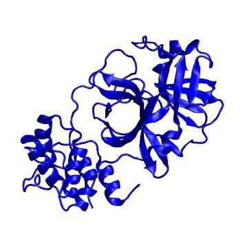 Structure preview of Folding@home molecular dynamics simulations of Diamond Light Source / XChem X-ray structures of small molecule inhibitors of the SARS-CoV-2 main protease from the COVID Moonshot; project 13433, run 329