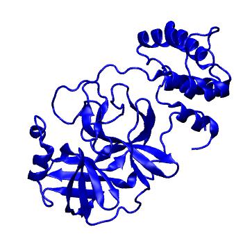 Structure preview of Folding@home molecular dynamics simulations of Diamond Light Source / XChem X-ray structures of small molecule inhibitors of the SARS-CoV-2 main protease from the COVID Moonshot; project 13433, run 330