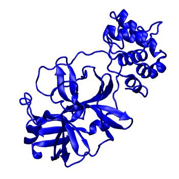 Structure preview of Folding@home molecular dynamics simulations of Diamond Light Source / XChem X-ray structures of small molecule inhibitors of the SARS-CoV-2 main protease from the COVID Moonshot; project 13433, run 334