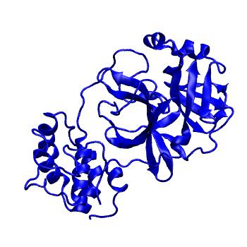 Structure preview of Folding@home molecular dynamics simulations of Diamond Light Source / XChem X-ray structures of small molecule inhibitors of the SARS-CoV-2 main protease from the COVID Moonshot; project 13433, run 336