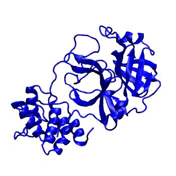 Structure preview of Folding@home molecular dynamics simulations of Diamond Light Source / XChem X-ray structures of small molecule inhibitors of the SARS-CoV-2 main protease from the COVID Moonshot; project 13433, run 338
