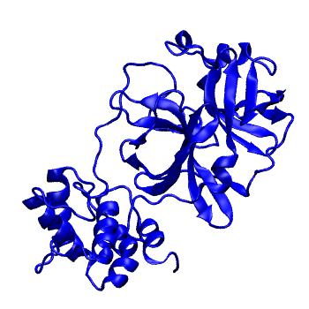 Structure preview of Folding@home molecular dynamics simulations of Diamond Light Source / XChem X-ray structures of small molecule inhibitors of the SARS-CoV-2 main protease from the COVID Moonshot; project 13433, run 339