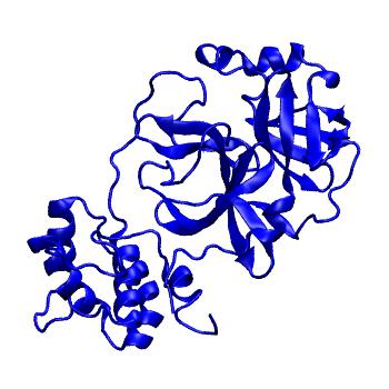 Structure preview of Folding@home molecular dynamics simulations of Diamond Light Source / XChem X-ray structures of small molecule inhibitors of the SARS-CoV-2 main protease from the COVID Moonshot; project 13433, run 341