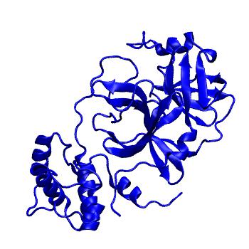 Structure preview of Folding@home molecular dynamics simulations of Diamond Light Source / XChem X-ray structures of small molecule inhibitors of the SARS-CoV-2 main protease from the COVID Moonshot; project 13433, run 342