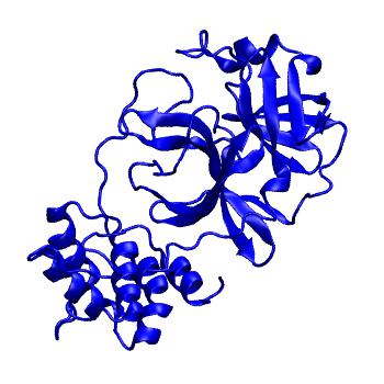 Structure preview of Folding@home molecular dynamics simulations of Diamond Light Source / XChem X-ray structures of small molecule inhibitors of the SARS-CoV-2 main protease from the COVID Moonshot; project 13433, run 343
