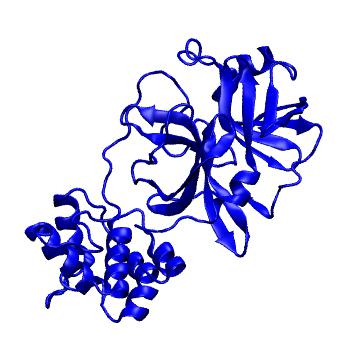 Structure preview of Folding@home molecular dynamics simulations of Diamond Light Source / XChem X-ray structures of small molecule inhibitors of the SARS-CoV-2 main protease from the COVID Moonshot; project 13433, run 348