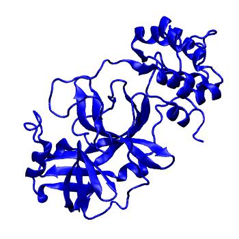 Structure preview of Folding@home molecular dynamics simulations of Diamond Light Source / XChem X-ray structures of small molecule inhibitors of the SARS-CoV-2 main protease from the COVID Moonshot; project 13433, run 34