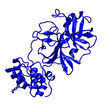 Structure preview of Folding@home molecular dynamics simulations of Diamond Light Source / XChem X-ray structures of small molecule inhibitors of the SARS-CoV-2 main protease from the COVID Moonshot; project 13433, run 36