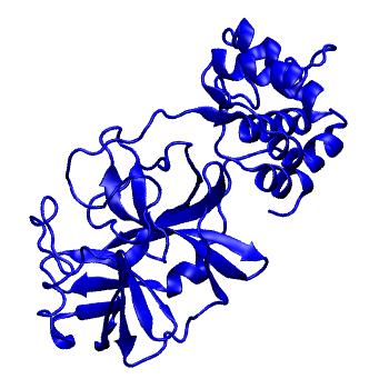 Structure preview of Folding@home molecular dynamics simulations of Diamond Light Source / XChem X-ray structures of small molecule inhibitors of the SARS-CoV-2 main protease from the COVID Moonshot; project 13433, run 37