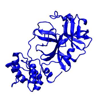 Structure preview of Folding@home molecular dynamics simulations of Diamond Light Source / XChem X-ray structures of small molecule inhibitors of the SARS-CoV-2 main protease from the COVID Moonshot; project 13433, run 38