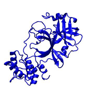 Structure preview of Folding@home molecular dynamics simulations of Diamond Light Source / XChem X-ray structures of small molecule inhibitors of the SARS-CoV-2 main protease from the COVID Moonshot; project 13433, run 39