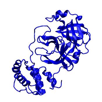 Structure preview of Folding@home molecular dynamics simulations of Diamond Light Source / XChem X-ray structures of small molecule inhibitors of the SARS-CoV-2 main protease from the COVID Moonshot; project 13433, run 40