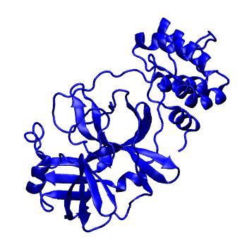 Structure preview of Folding@home molecular dynamics simulations of Diamond Light Source / XChem X-ray structures of small molecule inhibitors of the SARS-CoV-2 main protease from the COVID Moonshot; project 13433, run 41