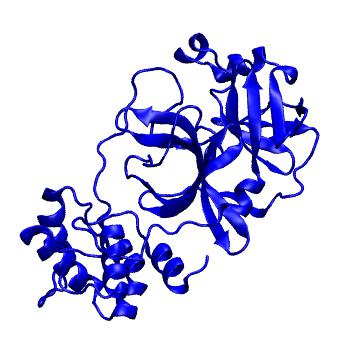 Structure preview of Folding@home molecular dynamics simulations of Diamond Light Source / XChem X-ray structures of small molecule inhibitors of the SARS-CoV-2 main protease from the COVID Moonshot; project 13433, run 42