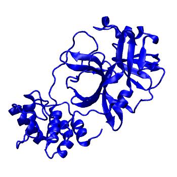 Structure preview of Folding@home molecular dynamics simulations of Diamond Light Source / XChem X-ray structures of small molecule inhibitors of the SARS-CoV-2 main protease from the COVID Moonshot; project 13433, run 46