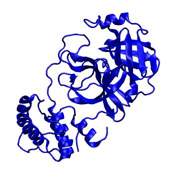 Structure preview of Folding@home molecular dynamics simulations of Diamond Light Source / XChem X-ray structures of small molecule inhibitors of the SARS-CoV-2 main protease from the COVID Moonshot; project 13433, run 47
