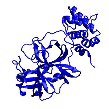 Structure preview of Folding@home molecular dynamics simulations of Diamond Light Source / XChem X-ray structures of small molecule inhibitors of the SARS-CoV-2 main protease from the COVID Moonshot; project 13433, run 48