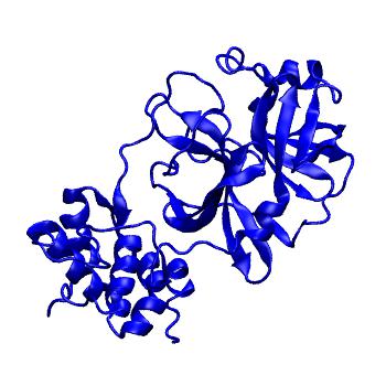 Structure preview of Folding@home molecular dynamics simulations of Diamond Light Source / XChem X-ray structures of small molecule inhibitors of the SARS-CoV-2 main protease from the COVID Moonshot; project 13433, run 52