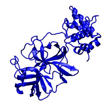 Structure preview of Folding@home molecular dynamics simulations of Diamond Light Source / XChem X-ray structures of small molecule inhibitors of the SARS-CoV-2 main protease from the COVID Moonshot; project 13433, run 53