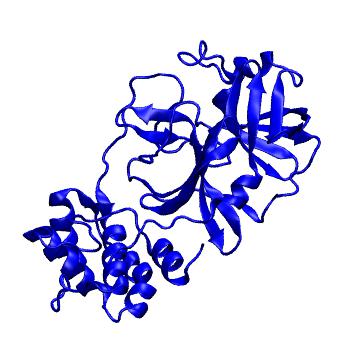 Structure preview of Folding@home molecular dynamics simulations of Diamond Light Source / XChem X-ray structures of small molecule inhibitors of the SARS-CoV-2 main protease from the COVID Moonshot; project 13433, run 54