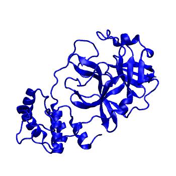 Structure preview of Folding@home molecular dynamics simulations of Diamond Light Source / XChem X-ray structures of small molecule inhibitors of the SARS-CoV-2 main protease from the COVID Moonshot; project 13433, run 56