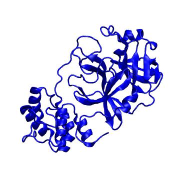Structure preview of Folding@home molecular dynamics simulations of Diamond Light Source / XChem X-ray structures of small molecule inhibitors of the SARS-CoV-2 main protease from the COVID Moonshot; project 13433, run 57