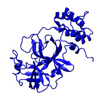 Structure preview of Folding@home molecular dynamics simulations of Diamond Light Source / XChem X-ray structures of small molecule inhibitors of the SARS-CoV-2 main protease from the COVID Moonshot; project 13433, run 58