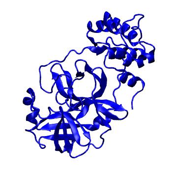 Structure preview of Folding@home molecular dynamics simulations of Diamond Light Source / XChem X-ray structures of small molecule inhibitors of the SARS-CoV-2 main protease from the COVID Moonshot; project 13433, run 64