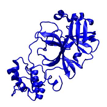 Structure preview of Folding@home molecular dynamics simulations of Diamond Light Source / XChem X-ray structures of small molecule inhibitors of the SARS-CoV-2 main protease from the COVID Moonshot; project 13433, run 65