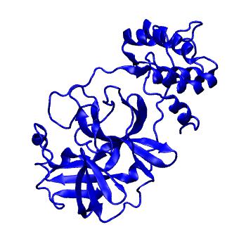 Structure preview of Folding@home molecular dynamics simulations of Diamond Light Source / XChem X-ray structures of small molecule inhibitors of the SARS-CoV-2 main protease from the COVID Moonshot; project 13433, run 67