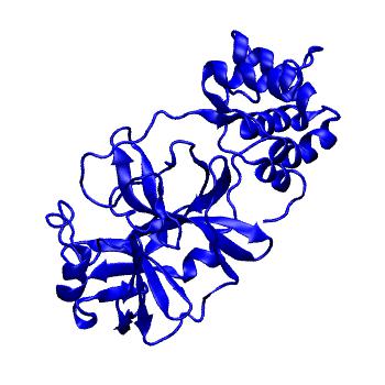 Structure preview of Folding@home molecular dynamics simulations of Diamond Light Source / XChem X-ray structures of small molecule inhibitors of the SARS-CoV-2 main protease from the COVID Moonshot; project 13433, run 6