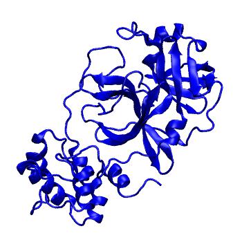 Structure preview of Folding@home molecular dynamics simulations of Diamond Light Source / XChem X-ray structures of small molecule inhibitors of the SARS-CoV-2 main protease from the COVID Moonshot; project 13433, run 72