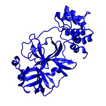 Structure preview of Folding@home molecular dynamics simulations of Diamond Light Source / XChem X-ray structures of small molecule inhibitors of the SARS-CoV-2 main protease from the COVID Moonshot; project 13433, run 73