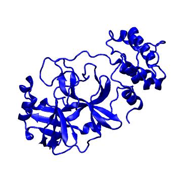 Structure preview of Folding@home molecular dynamics simulations of Diamond Light Source / XChem X-ray structures of small molecule inhibitors of the SARS-CoV-2 main protease from the COVID Moonshot; project 13433, run 74