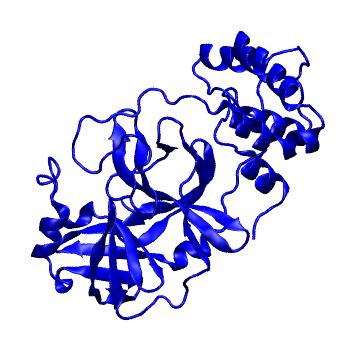Structure preview of Folding@home molecular dynamics simulations of Diamond Light Source / XChem X-ray structures of small molecule inhibitors of the SARS-CoV-2 main protease from the COVID Moonshot; project 13433, run 78