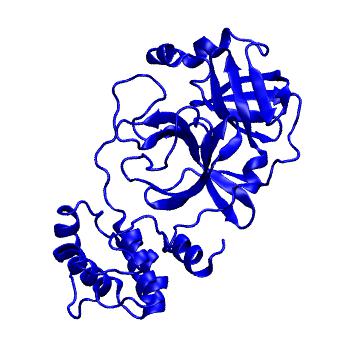 Structure preview of Folding@home molecular dynamics simulations of Diamond Light Source / XChem X-ray structures of small molecule inhibitors of the SARS-CoV-2 main protease from the COVID Moonshot; project 13433, run 79