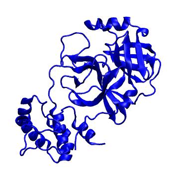 Structure preview of Folding@home molecular dynamics simulations of Diamond Light Source / XChem X-ray structures of small molecule inhibitors of the SARS-CoV-2 main protease from the COVID Moonshot; project 13433, run 83