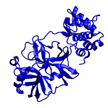 Structure preview of Folding@home molecular dynamics simulations of Diamond Light Source / XChem X-ray structures of small molecule inhibitors of the SARS-CoV-2 main protease from the COVID Moonshot; project 13433, run 87