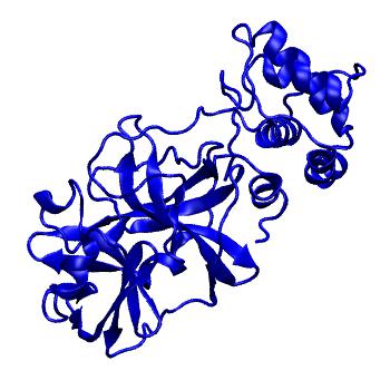 Structure preview of Folding@home molecular dynamics simulations of Diamond Light Source / XChem X-ray structures of small molecule inhibitors of the SARS-CoV-2 main protease from the COVID Moonshot; project 13433, run 91